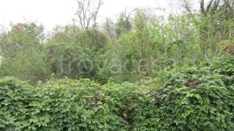 terreno agricolo in vendita a Vistarino