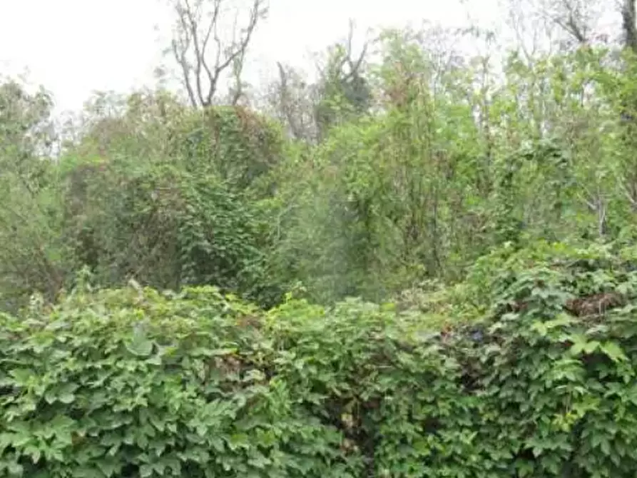 terreno agricolo in vendita a Vistarino