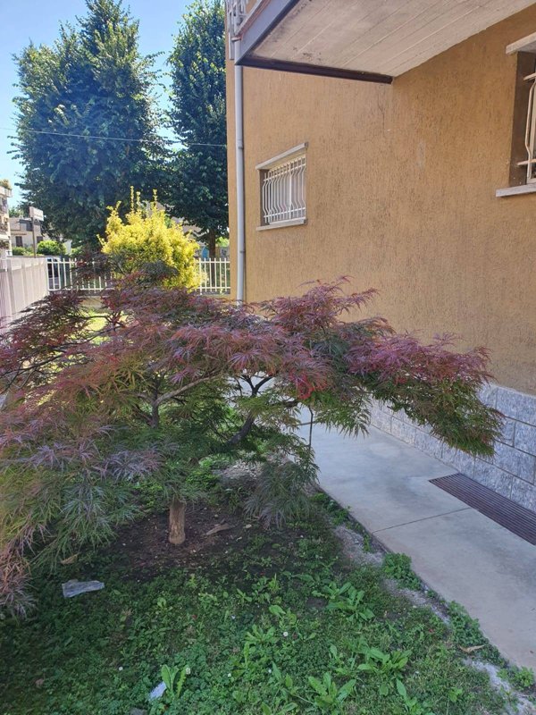 appartamento in vendita a Voghera