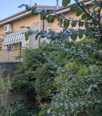 casa indipendente in vendita a Voghera