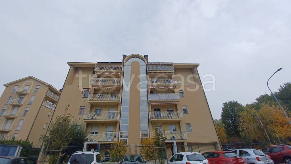 box auto in vendita a Voghera