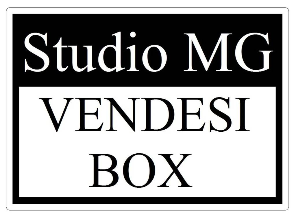box auto in vendita a Voghera