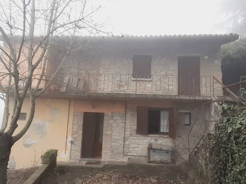 immagine annuncio 0 di 1