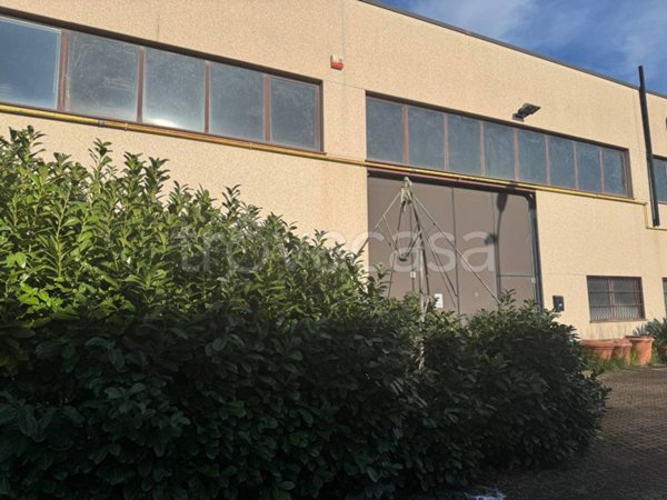 locale commerciale in vendita a Zeccone