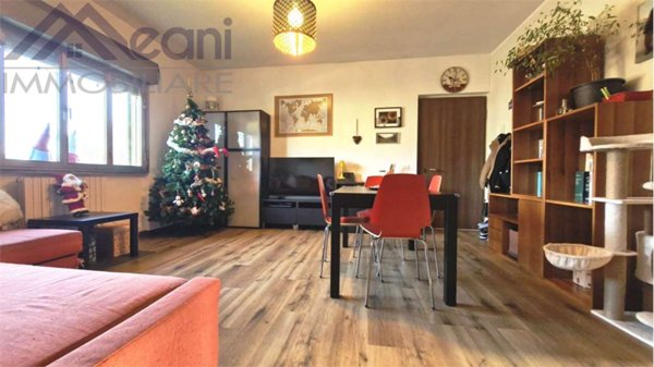 appartamento in vendita a Zeccone