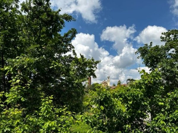 terreno agricolo in vendita a Zenevredo