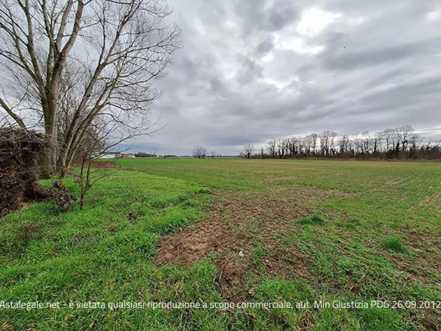 terreno agricolo in vendita a Zerbolò
