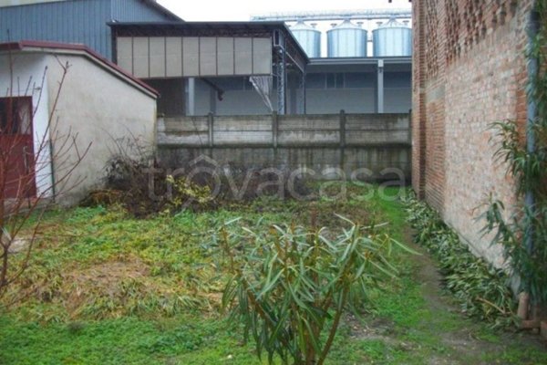 terreno agricolo in vendita a Cornale e Bastida