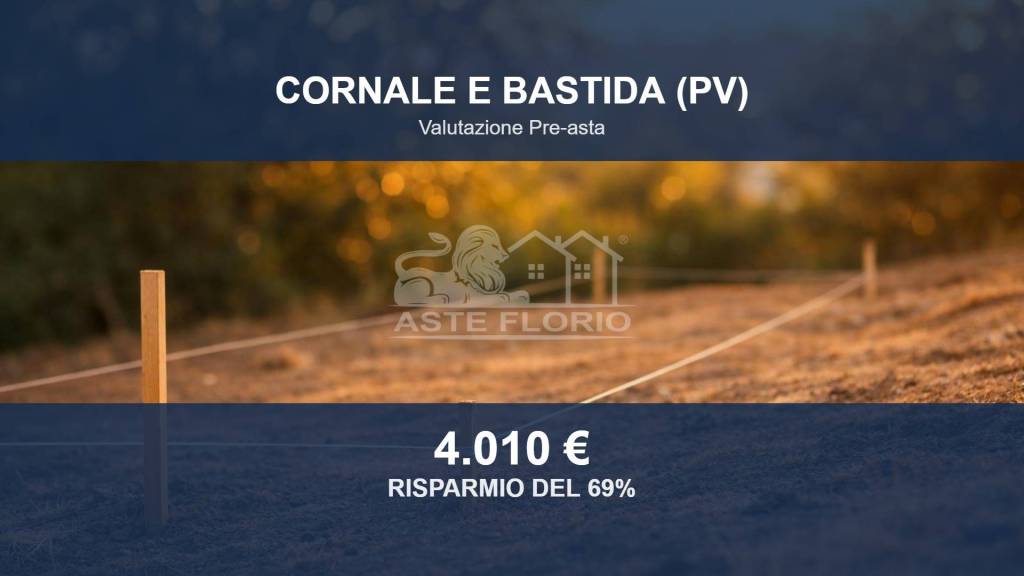 terreno agricolo in vendita a Cornale e Bastida in zona Bastida de' Dossi