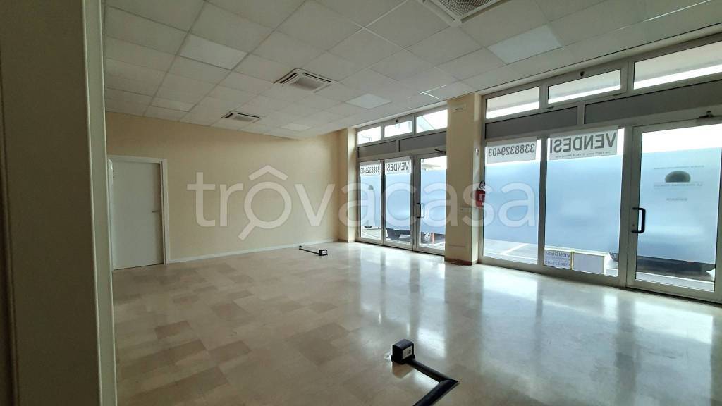 appartamento in vendita a Colli Verdi in zona Valverde