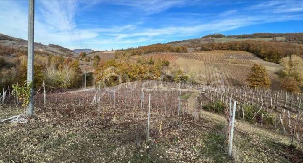 terreno agricolo in vendita a Colli Verdi