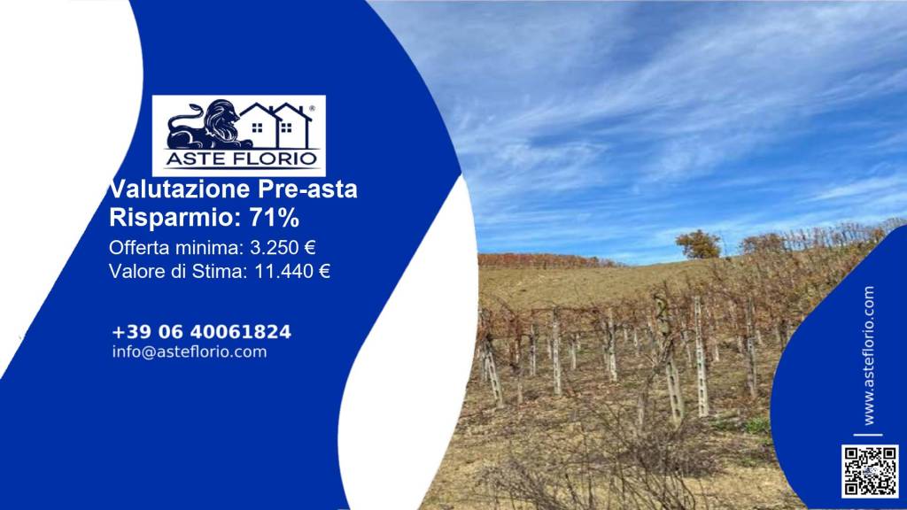 terreno agricolo in vendita a Colli Verdi