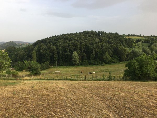 terreno edificabile in vendita a Colli Verdi in zona Ruino