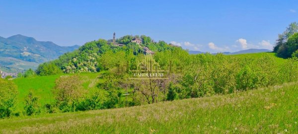 esavano in vendita a Colli Verdi in zona Ruino