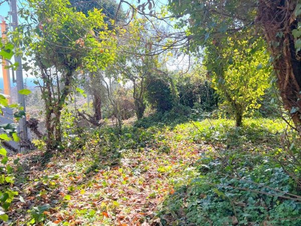 terreno agricolo in vendita a Colli Verdi in zona Valverde
