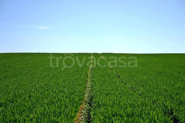 terreno agricolo in vendita a Colli Verdi in zona Valverde