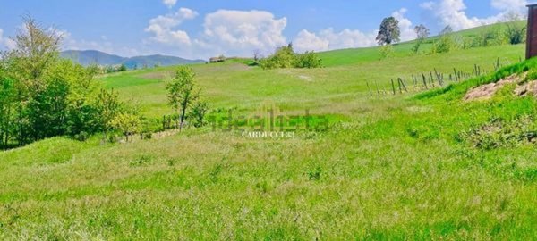 azienda agricola in vendita a Colli Verdi in zona Ruino