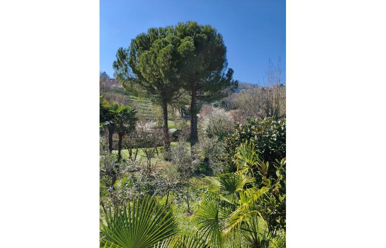 casa indipendente in vendita a Colli Verdi in zona Valverde