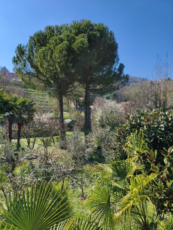 casa indipendente in vendita a Colli Verdi in zona Valverde