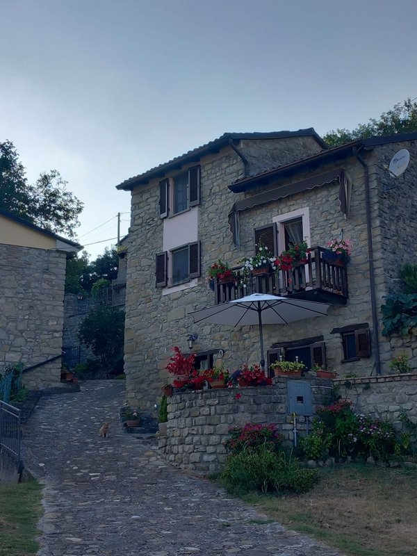 casa indipendente in vendita a Colli Verdi in zona Torre degli Alberi