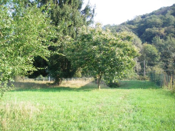 terreno edificabile in vendita a Lusernetta