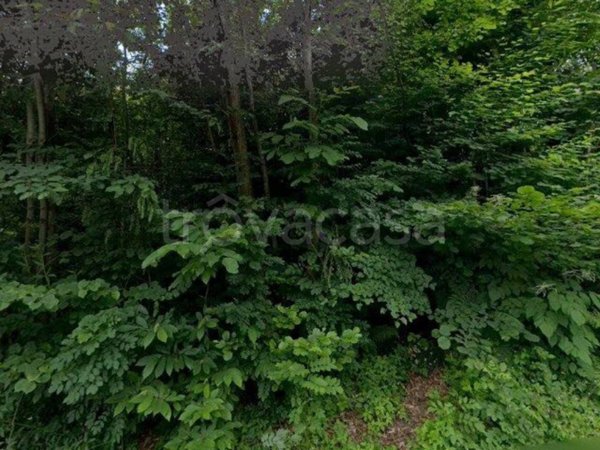 appartamento in vendita a Lusernetta