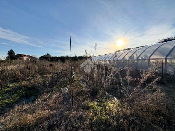terreno agricolo in vendita a Macello