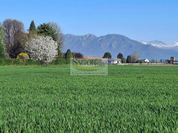 terreno agricolo in vendita a Macello