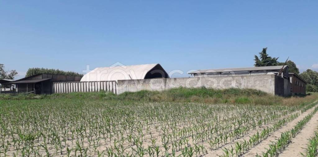 terreno agricolo in vendita a Macello