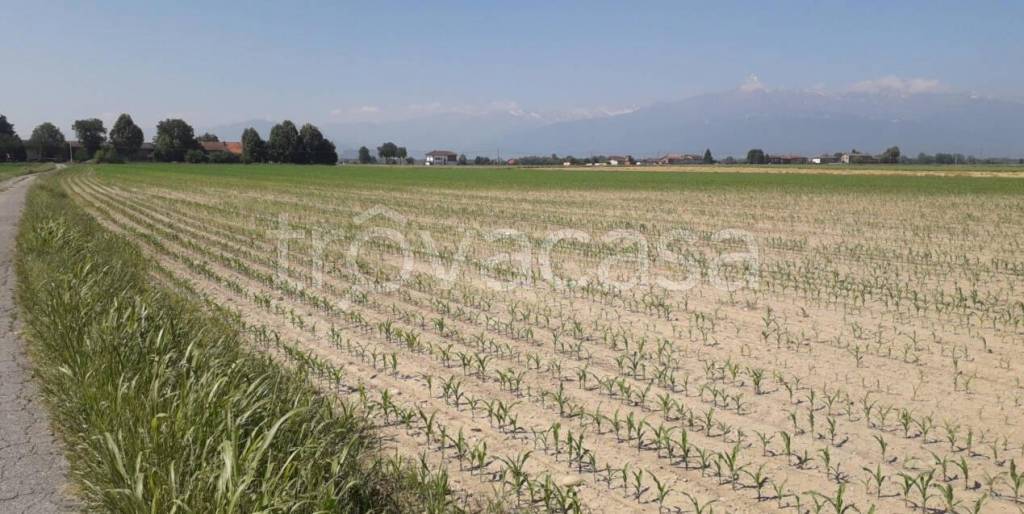 terreno agricolo in vendita a Macello