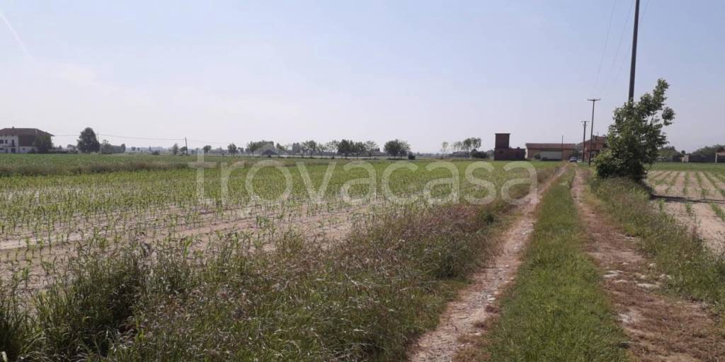 terreno agricolo in vendita a Macello