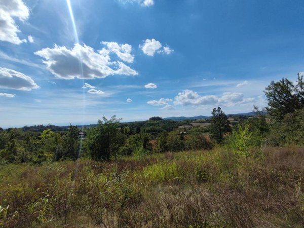 terreno agricolo in vendita a Marentino