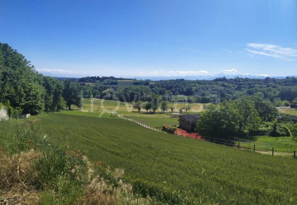 terreno agricolo in vendita a Marentino