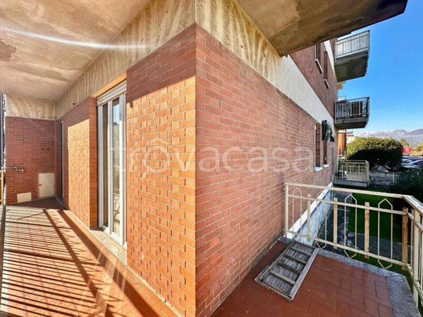 immagine annuncio 0 di 15