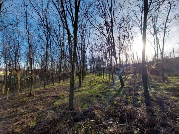 terreno agricolo in vendita a Mazzè in zona Tonengo
