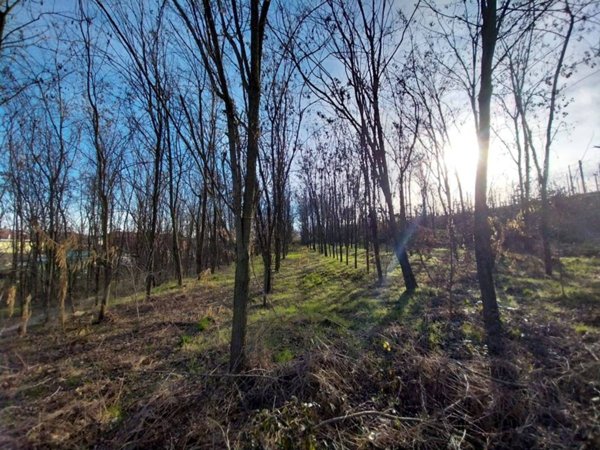 terreno agricolo in vendita a Mazzè in zona Casale
