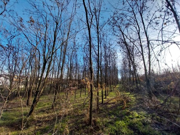 casa indipendente in vendita a Mazzè in zona Tonengo