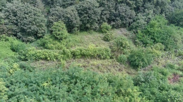 terreno agricolo in vendita a Moncalieri in zona Testona