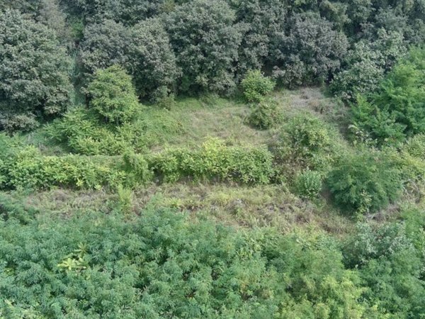 terreno agricolo in vendita a Moncalieri in zona Revigliasco