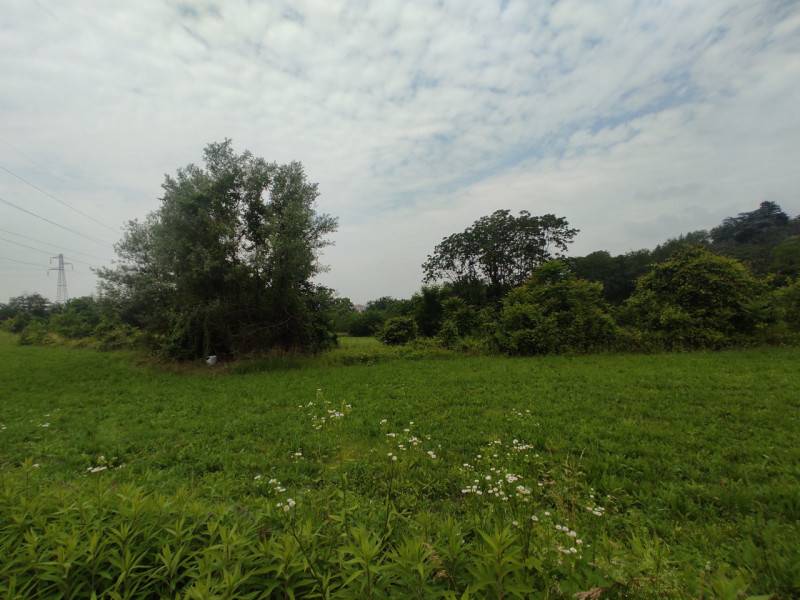 casa indipendente in vendita a Moncalieri in zona Testona