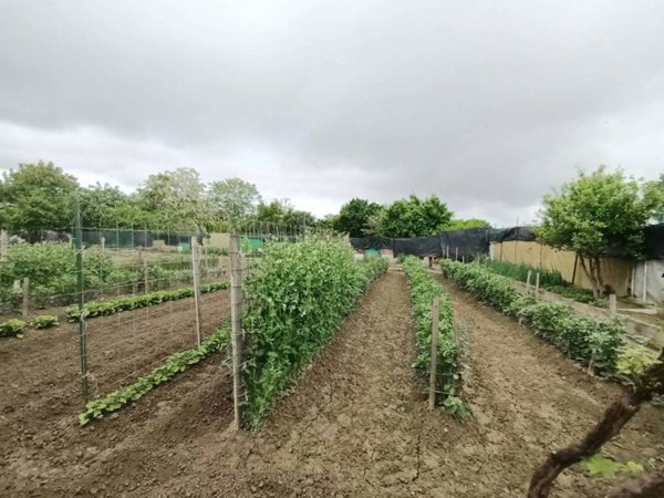 terreno agricolo in vendita a Moncalieri