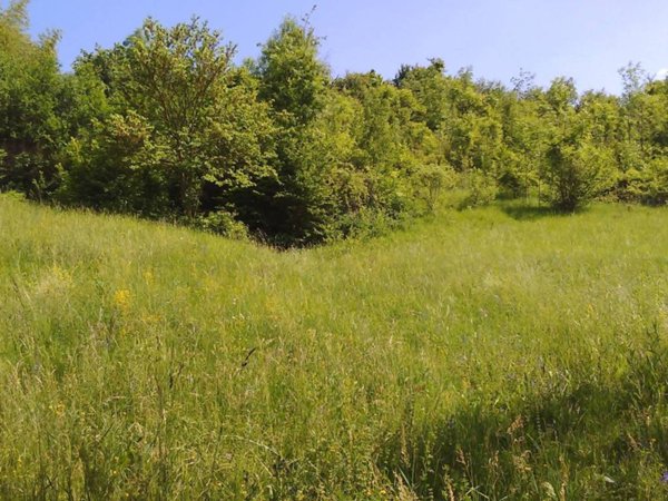 casa indipendente in vendita a Moncalieri in zona Boccia d'Oro
