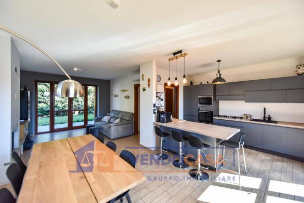 immagine annuncio 0 di 15