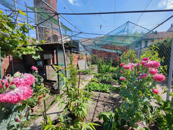 casa indipendente in vendita a Moncalieri