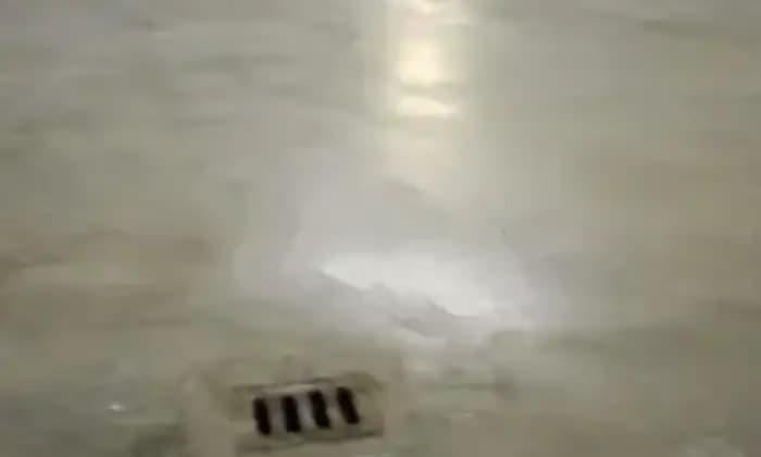 negozio in vendita a Moncalieri
