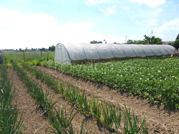 terreno agricolo in vendita a Moncalieri in zona Tetti Piatti