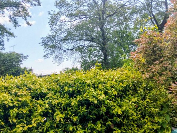 appartamento in vendita a Moncalieri in zona Boccia d'Oro