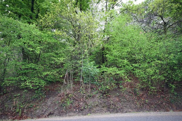 casa indipendente in vendita a Moncalieri