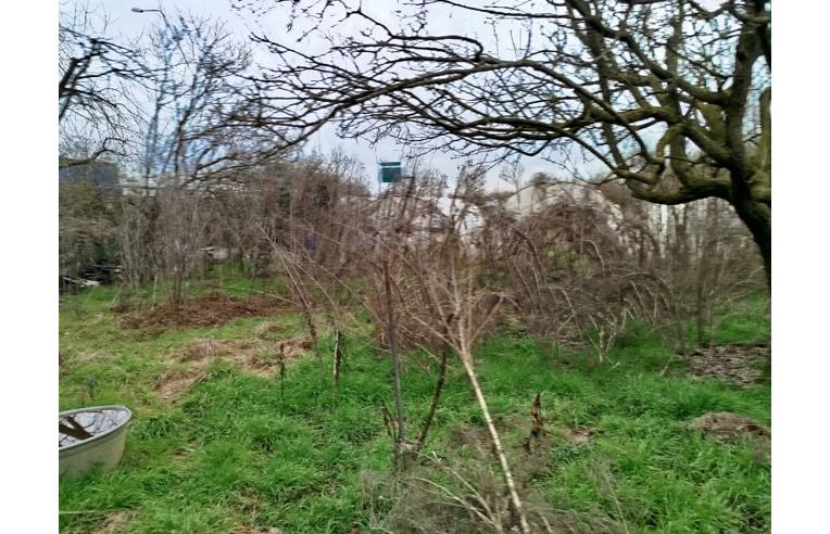 terreno agricolo in vendita a Moncalieri in zona Tagliaferro