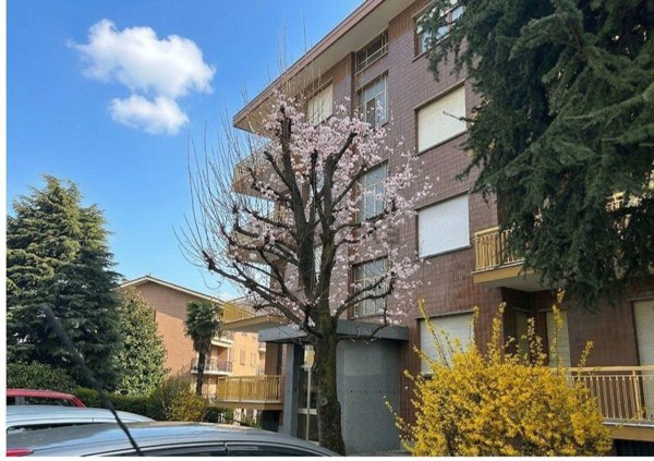 appartamento in vendita a Moncalieri